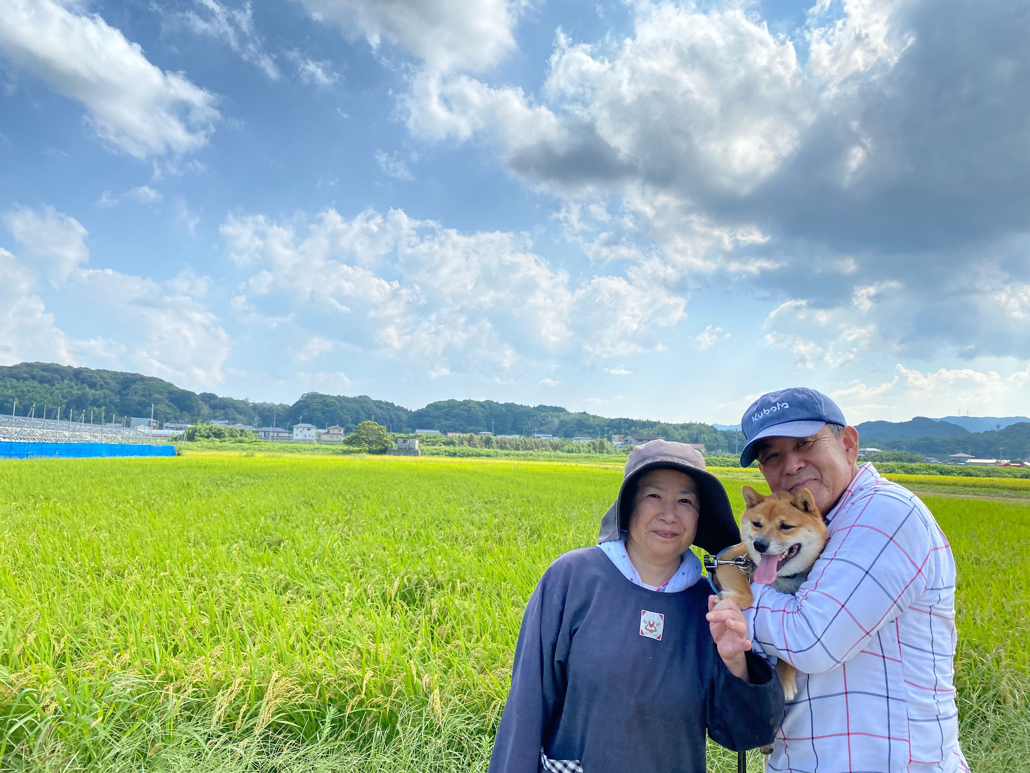 生産者 兵藤博文（福岡県飯塚市）